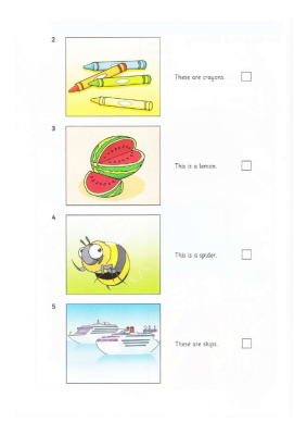 Starters Lesson 3 - Picture 2