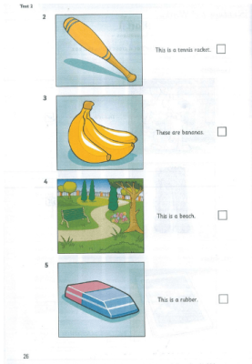 Starters Lesson 8 - Picture 2