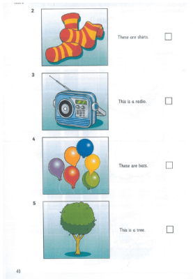 Starters Lesson 9 - Picture 2