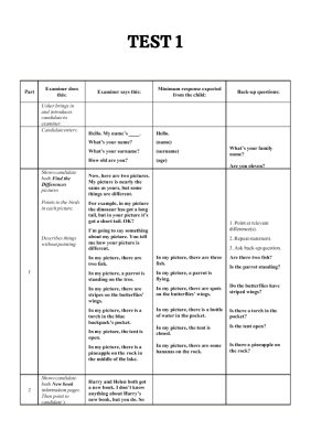 Flyers Lesson 10 - picture 3